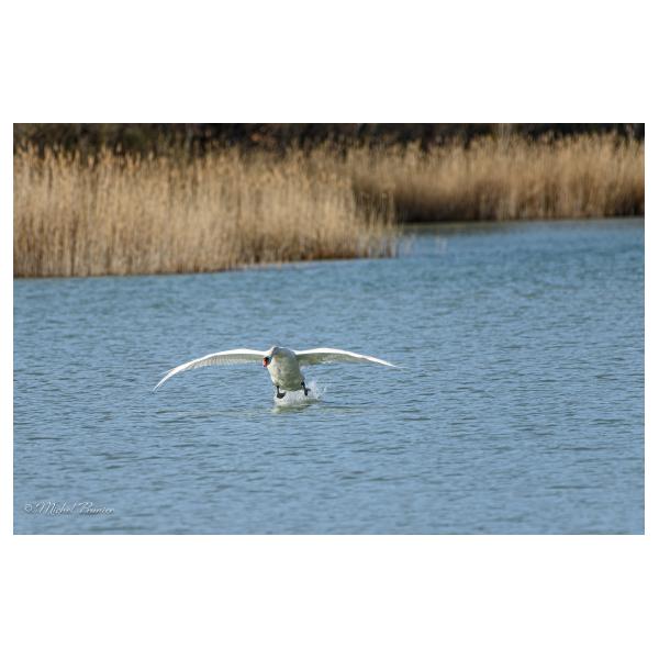 PHOTO84, CLUB, 84 , LUBERON